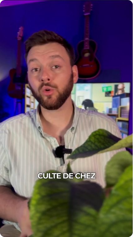 Vidéo UGC de Elie : Une lecture manga à découvrir, Présentation face caméra et gros plans des pages