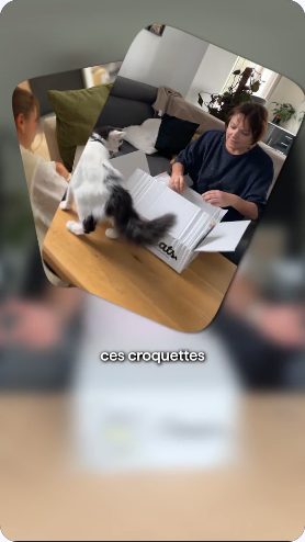 Vidéo UGC de Giacomo : Des croquettes pour le chat, Mise en situation avec l’animal et présentation du sachet